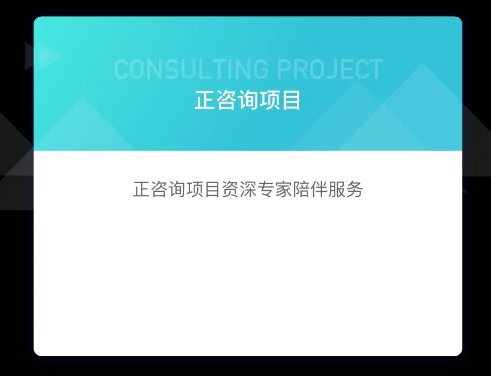 正咨询项目